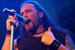 FOA livepics